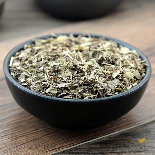 Ye Xia Zhu Herba Phyllanthi Urinariae Common Leafflower Herb-Pure Chinese Herb™