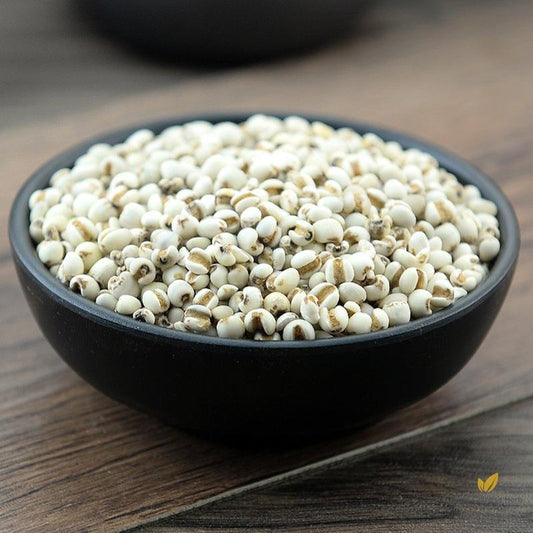 Yi Mi Coix Seed Semen Coicis Coix Lacrymajobi L.-Pure Chinese Herb™