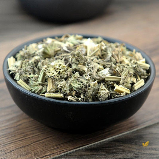 Yi Mu Cao Motherwort Herb Herba Leonuri Leonurus Japonicus Houtt.-Pure Chinese Herb™