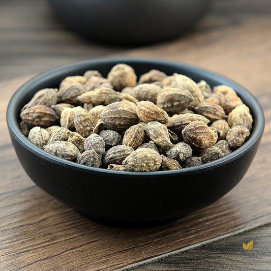 Yi Zhi Ren Sharpleaf Galangal Fruit Fructus Alpiniae Oxyphyllae-Pure Chinese Herb™