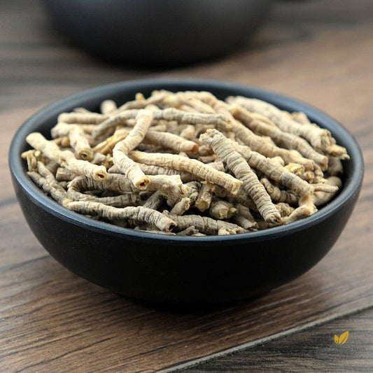 Yuan Zhi Polygala Root Radix Polygalae Polygala Tenuifolia Willd.-Pure Chinese Herb™