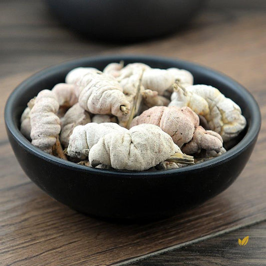 Zhu Huang Herb of Tabasheer Shiraia Bambusicola P. Henn.-Pure Chinese Herb™